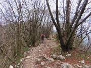 In Canto Alto (1146 m) da Ripa-Zogno ad anello fiorito il 10 aprile 2025 - FOTOGALLERY